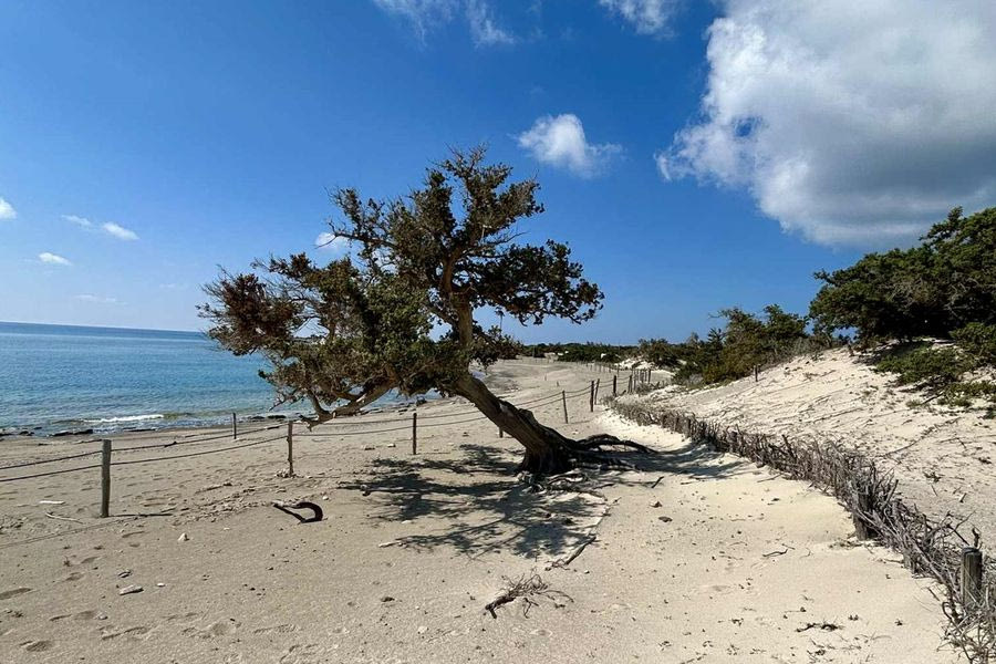 Ολοκλήρωση του Σχεδίου Δράσης για τη νήσο Χρυσή