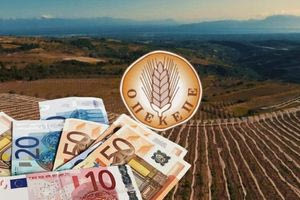 Κύκλωμα παράνομων επιδοτήσεων ΟΠΕΚΕΠΕ: Πώς δρούσε ο 38χρονος αρχηγός από τα Γιαννιτσά – Ο ρόλος του 36χρονου Κρητικού