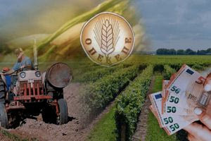 ΟΠΕΚΕΠΕ: Καταβλήθηκαν 28,78 εκατ. ευρώ σε 15.309 αγρότες – Οι δικαιούχοι