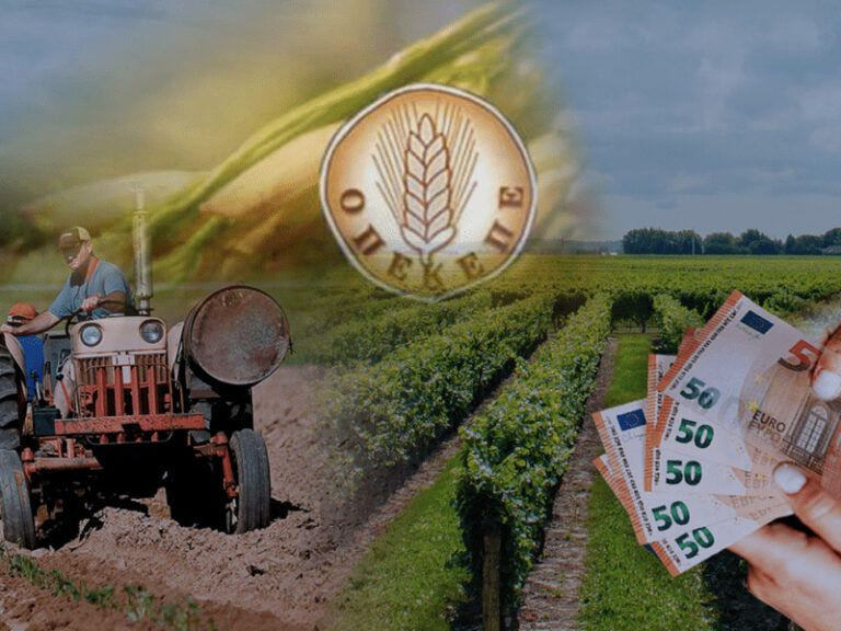 Mαμουλάκης: Επείγουσα ανάγκη αποκατάστασης της ομαλότητας στις πληρωμές ΟΠΕΚΕΠΕ