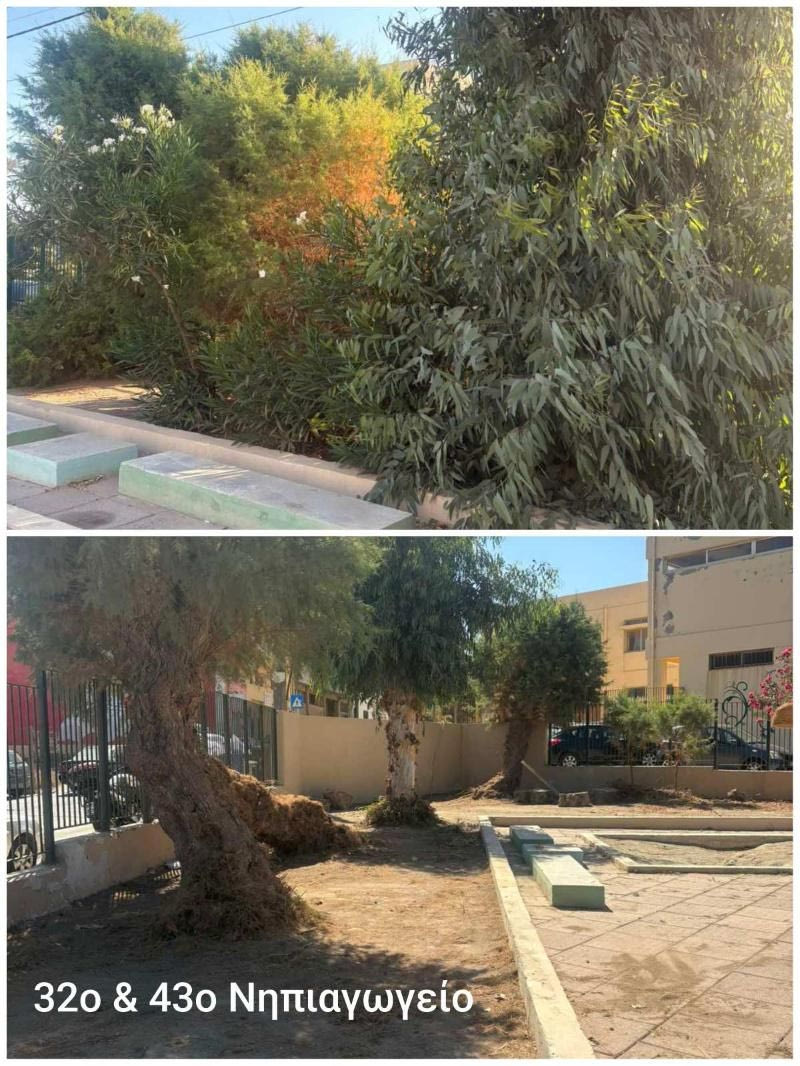 Συνεχίζονται τα έργα συντήρησης και καλλωπισμού του πρασίνου στα σχολεία του Δήμου Ηρακλείου