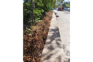 Τα «κλικ» της παρακμής και ο πολιτικός μεγαλοϊδεατισμός