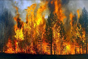 Meteo: 470.000 στρέμματα κάηκαν μέχρι στιγμής το 2025