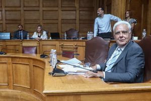 ΟΠΕΚΕΠΕ: «Καρατομήθηκα με εντολή Μαξίμου» λέει ο Ν. Σαλάτας – Τι απαντούν πηγές της ΝΔ