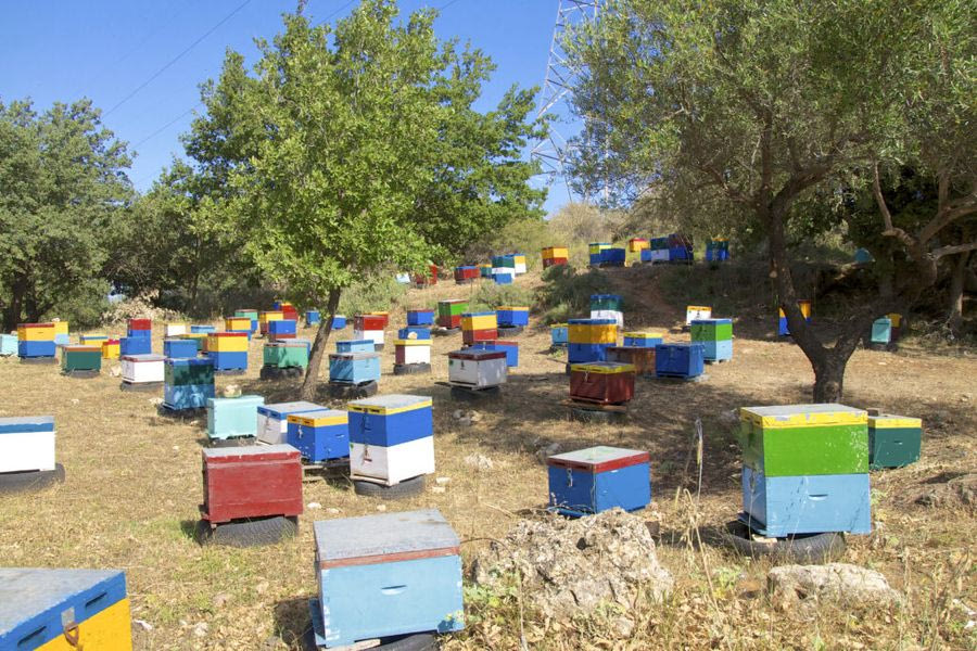 Ένα κρητικό μέλι στην τριάδα των Ελληνικών ΠΟΠ