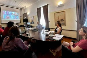 Συνεχίζει τους ελέγχους στα αστικά δέντρα της Κρήτης το Παρατηρητήριο Αστικού Πρασίνου