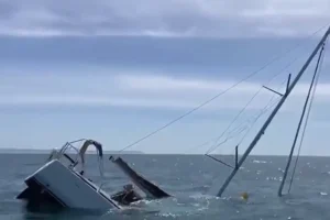 Πορτογαλία: Όρκες επιτέθηκαν σε τουριστικό σκάφος και το βύθισαν