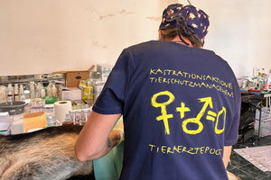 Νέα τριήμερη δράση δωρεάν στειρώσεων ζώων συντροφιάς στο Δήμο Μαλεβιζίου