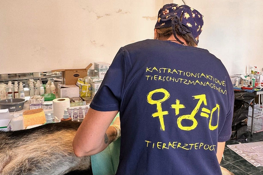 Νέα τριήμερη δράση δωρεάν στειρώσεων ζώων συντροφιάς στο Δήμο Μαλεβιζίου