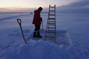 Από την Ύδρα στην Αρκτική: Ο Μ. Τσαμαδός μελετά το πολικό κλίμα και χαρτογραφεί το λιώσιμο των πάγων