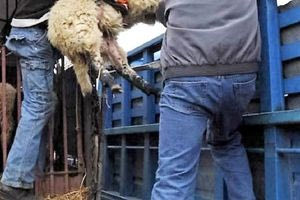 Χθες σήμερα αύριο 11/9/2025