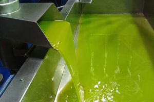 Λιγότερο λάδι με καλύτερες τιμές – Οι προσδοκίες για τη φετινή χρονιά