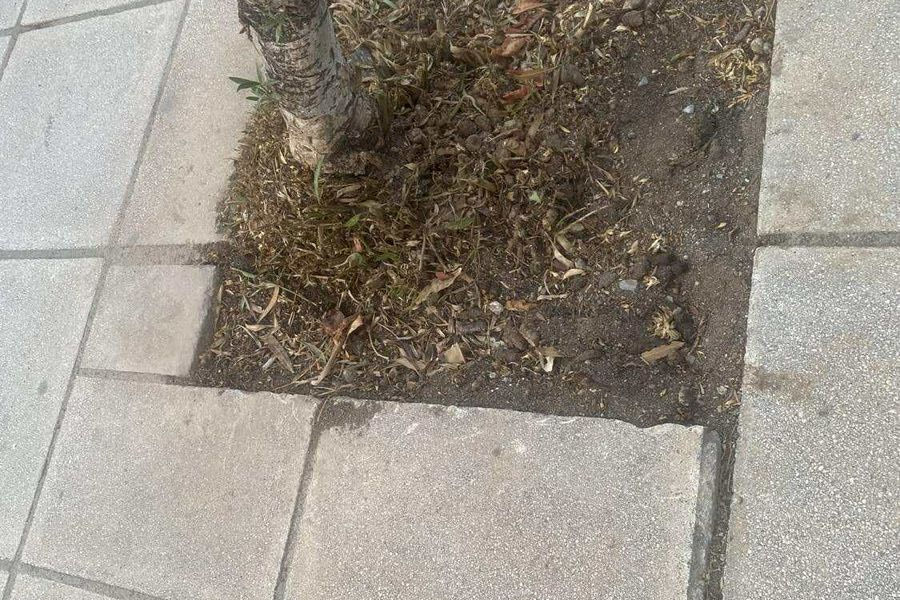 Πως να ευχαριστηθείς τον περίπατο, πατώντας ακαθαρσίες σκύλων και κόλες δέντρων στο σκοτάδι !