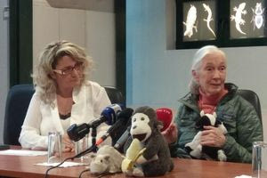 Όταν 3 αίθουσες του Πολιτιστικού στο Ηράκλειο πλημμύρισαν από κόσμο για την Jane Goodall – Έφυγε από την ζωή σε ηλικία 91 ετών