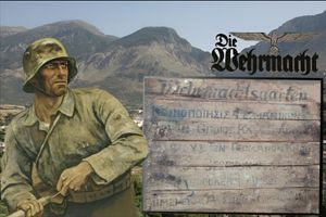 Ζαρός: Καθαρίζοντας αποθήκη της γιαγιάς, βρήκε ντοκουμέντο!