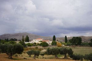 Προστατευόμενο τοπίο 271 στρέμματα η Μονή Απεζανών