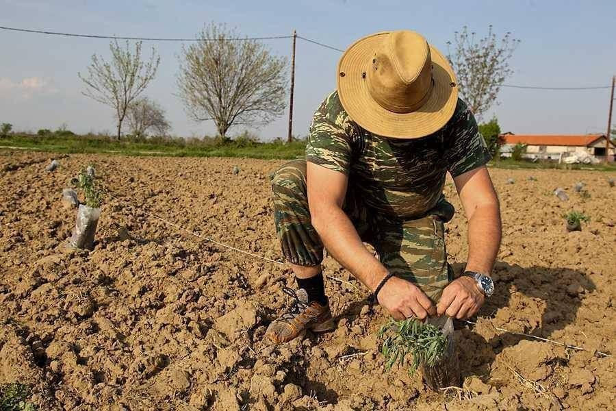 Κληρώνει και…πληρώνει για τους αγρότες! Δεν υπάρχει…κανένα σκάνδαλο στον ΟΠΕΚΕΠΕ, τζάμπα η φασαρία! Ποιο είναι το…Πρακτικό 13 που άνοιξε το δρόμο να γίνει η Ελλάδα ένα …βοσκοτόπι;