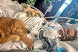 Σκύλος θεραπείας ξύπνησε γυναίκα από ιατρικό κώμα στη Φλόριντα – «Θαύμα» λέει η ίδια