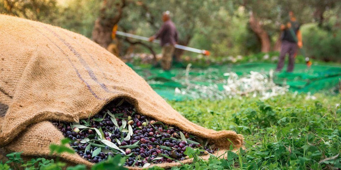 Λιομάζωμα από το Σάββατο σε περιοχές του Ηρακλείου