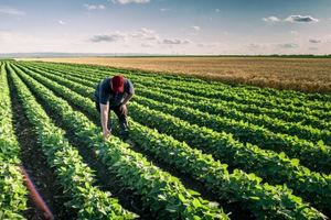 Δεν ανανεώθηκε η δυνατότητα εργασίας παράνομων μεταναστών