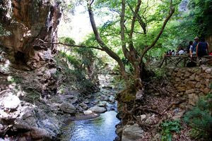 Γυναίκα τραυματίστηκε σε φαράγγι της Κρήτης – Κινητοποιήθηκε η πυρoσβεστική