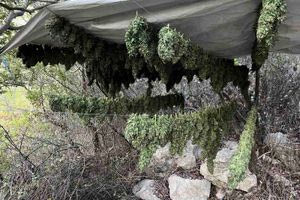 Ηράκλειο: Οι έρευνες αποκάλυψαν φυτεία με 46 δενδρύλλια κάνναβης (φωτογραφίες)