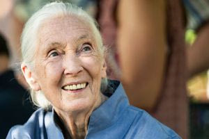 Τα τελευταία λόγια της Τζέιν Γκούντολ (βίντεο)