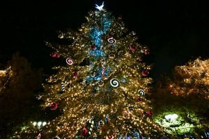 Στήθηκε το πρώτο χριστουγεννιάτικο δέντρο για το 2025 στην Ελλάδα