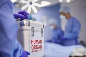 EOM: Ρεκόρ μεταμοσχεύσεων το 2025 – 111 δότες χάρισαν ζωή σε 240 ασθενείς