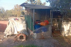 Η viral αγγελία για ενοικίαση σπιτιού στα Χανιά – «Kοτέτσι» με ενοίκιο…1650 ευρώ!