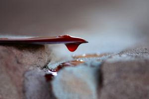 Γερμανία: Μαχαιρώθηκε δήμαρχος έξω από το σπίτι της