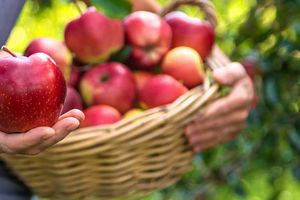 Το φρούτο που ρίχνει σάκχαρο, χοληστερόλη και αδυνατίζει