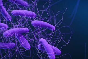 Το «ταπεινό» ξίδι έγινε νανο-όπλο και σκοτώνει βακτήρια