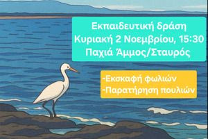«Ανακαλύπτοντας τη ζωή στην άμμο και τον ουρανό»