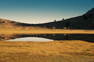 Οι ερευνητικές δραστηριότητες του Ινστιτούτου Μεσογειακών Σπουδών του ΙΤΕ