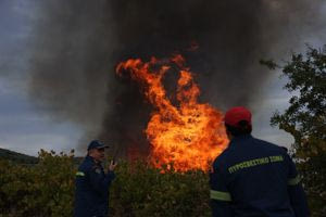 Σε εξέλιξη η πυρκαγιά στις Μαλάδες – Επιχειρεί ελικόπτερο (φωτογραφίες & βίντεο)