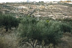 Κινητικότητα για έξι πολεοδομικές μελέτες του Ηρακλείου