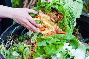 201 κιλά φαγητού στα σκουπίδια