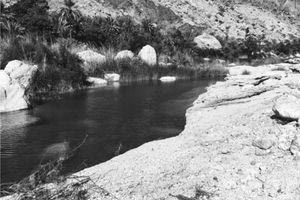 Λακκούβες και ατασθαλίες πάσης εταιρείας και καιρού