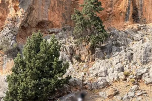 (ΦΩΤΟ) Τι εξετάζουν οι αστυνομικοί μετά την σύλληψη του 43χρονου γαμπρού του Φανούρη Καργάκη