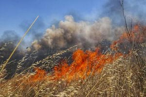 Έκαιγαν ξερά χόρτα… και συνελήφθησαν