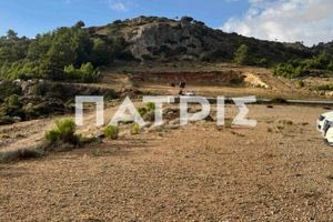 Θάνατος 19χρονου: Γιατί απασφαλίστηκε η μοιραία στρατιωτική χειροβομβίδα; – Τα σενάρια που εξετάζονται