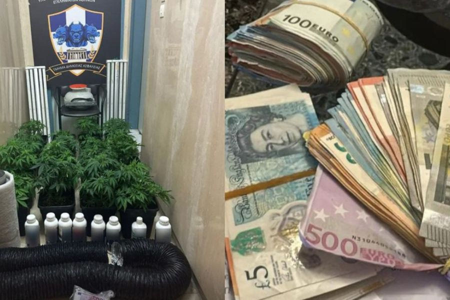 Πώς δρούσε το κύκλωμα με τις τηλεφωνικές απάτες – Πρώην αθλήτρια Ολυμπιακών Αγώνων στους συλληφθέντες