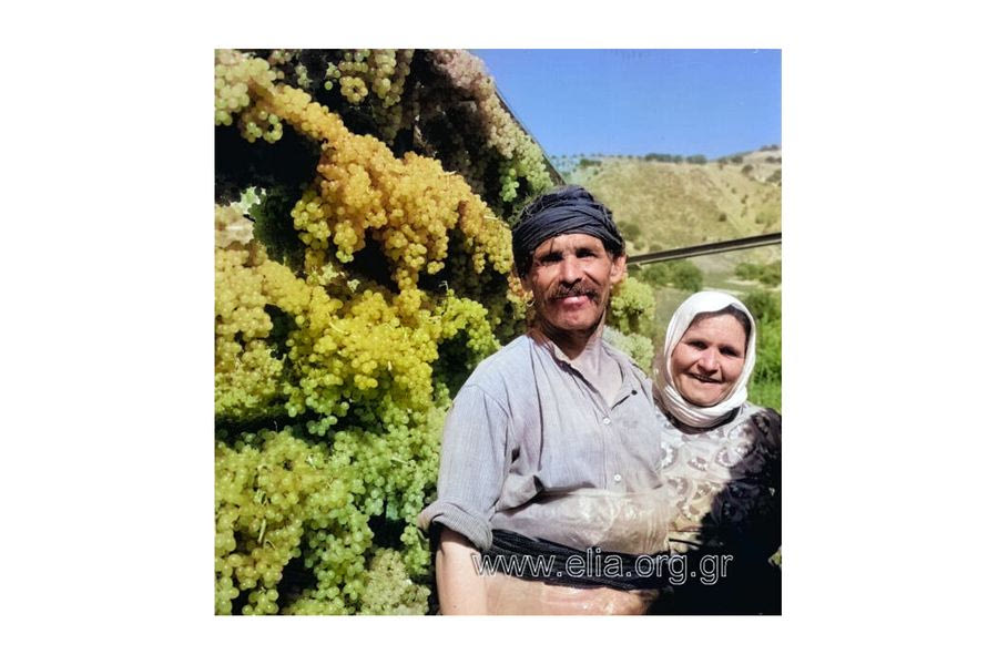 Ζεύγος Κρητικών