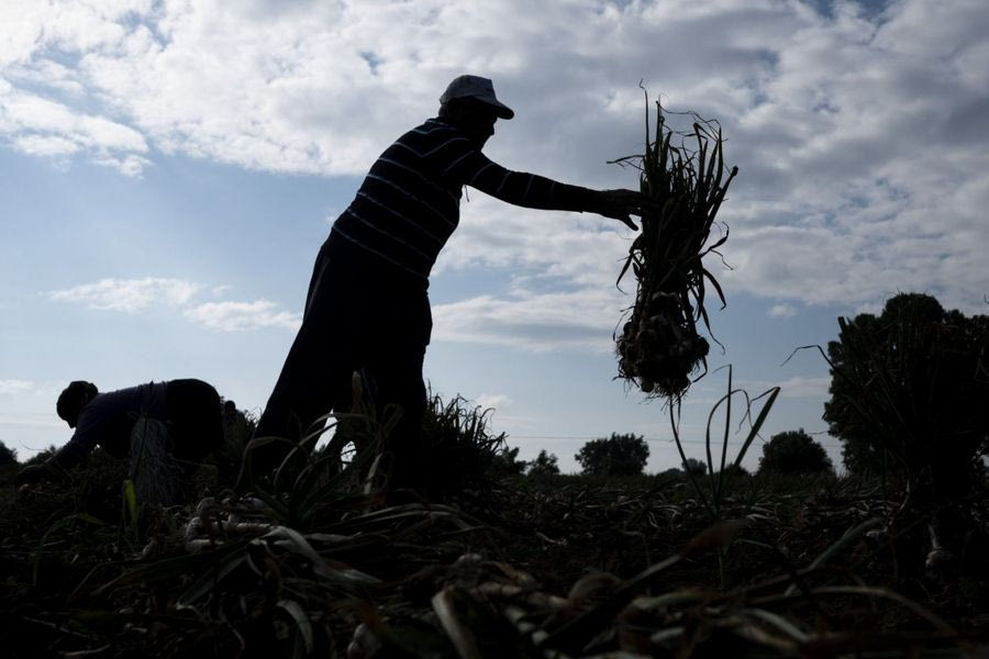 Τι περιλαμβάνει το νέο σύστημα αγροτικών επιδοτήσεων