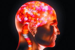 Κουκούλα διορθώνει τον εγκέφαλο