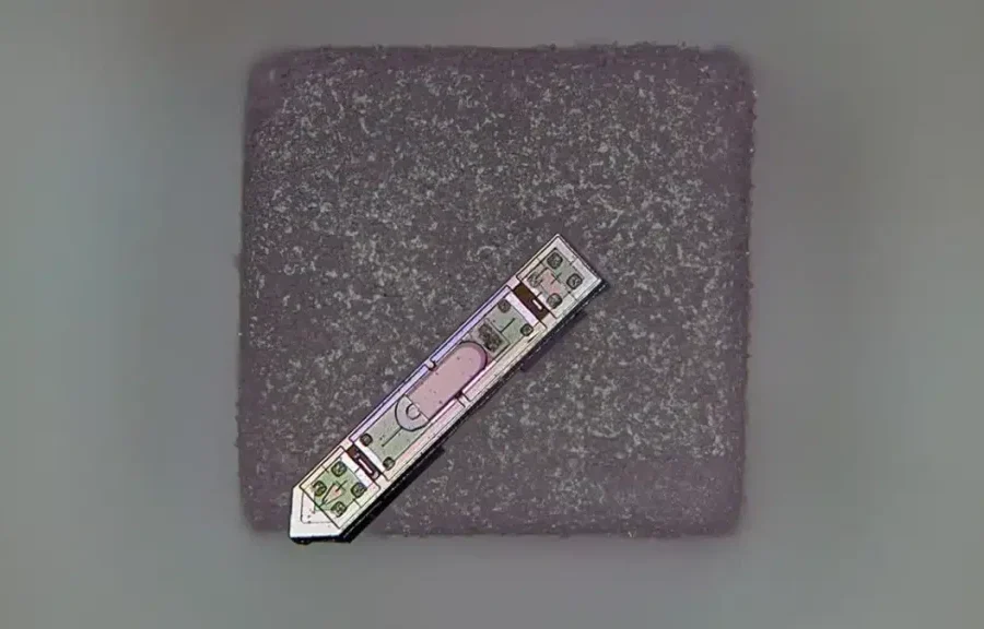 Εμφύτευμα εγκεφάλου μικρότερο από έναν κόκκο αλατιού κατέγραψε νευρική δραστηριότητα για έναν ολόκληρο χρόνο