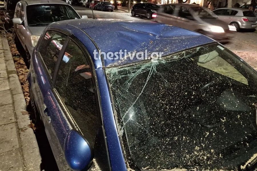 Θεσσαλονίκη: Έπεσε δέντρο και καταπλάκωσε αυτοκίνητα στην Τούμπα