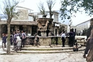 Τα Λιοντάρια, την περίοδο 1901 – 1904