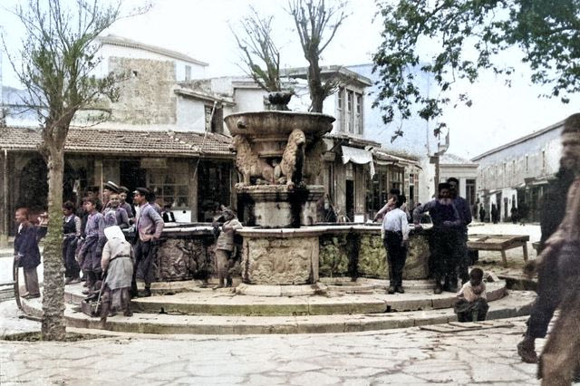 Τα Λιοντάρια, την περίοδο 1901 – 1904